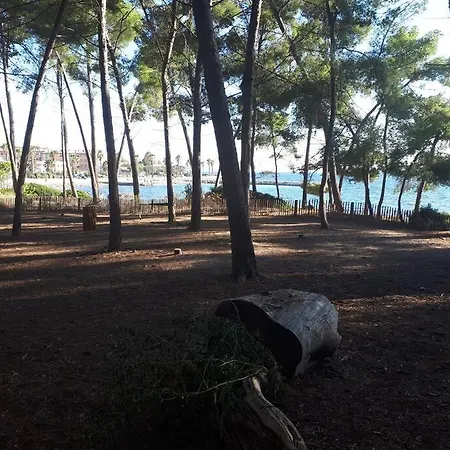 T2 Paisible, Wifi, Proche Et Pinede Apartmán *