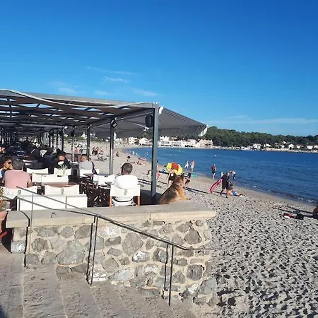 T2 Paisible, Wifi, Proche Et Pinede * Saint-Mandrier-sur-Mer